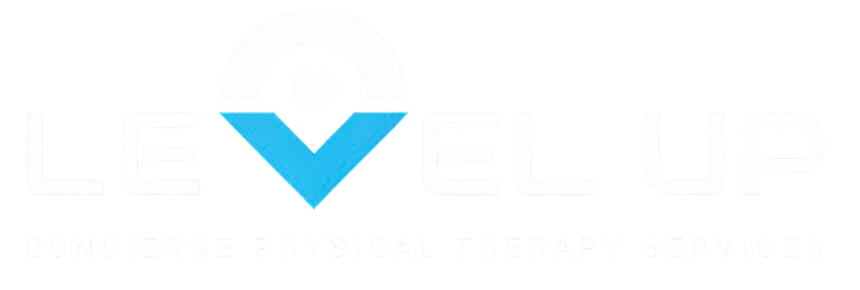 Level Up Rehabilitation Services